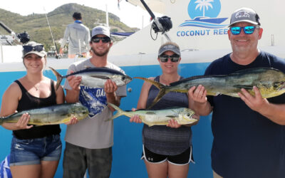 A Magnificent Day on Flat Seas